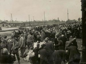 auschwitz -birkenau - arrival of a transport -may 44 auschwitz -birkenau - arrival of a transport -may 44